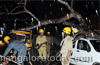 Drivers escape uninjured when tree falls on vehicles